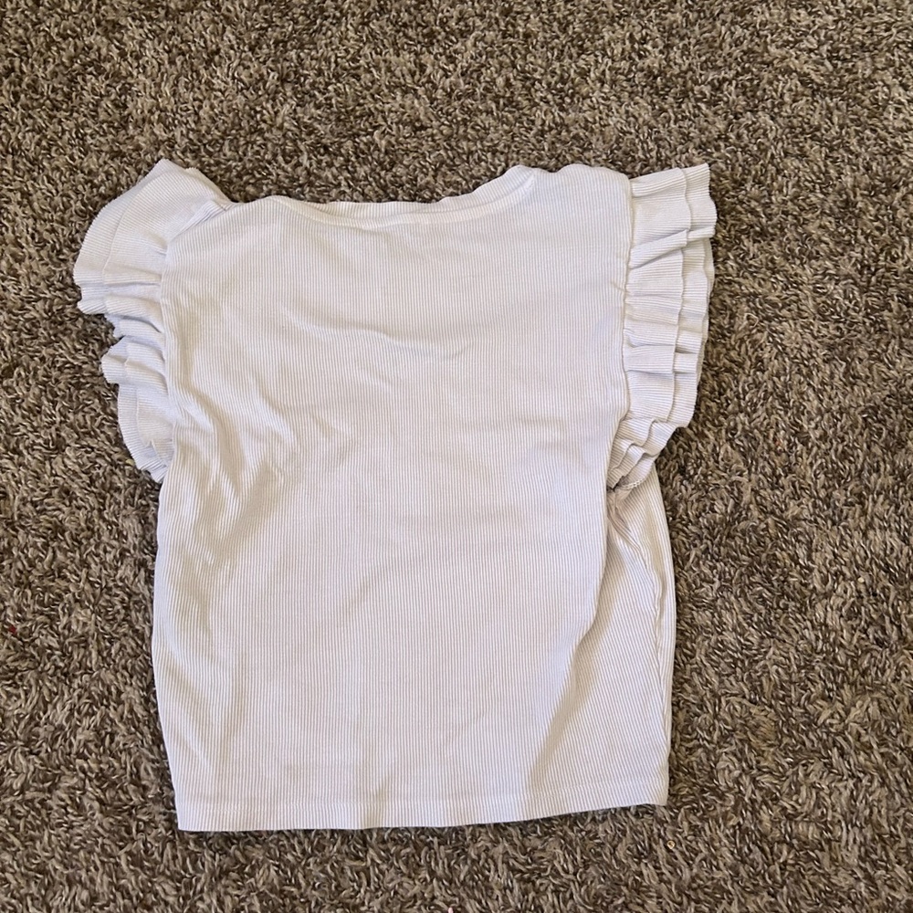 Zara Ruffle Sleeve Top